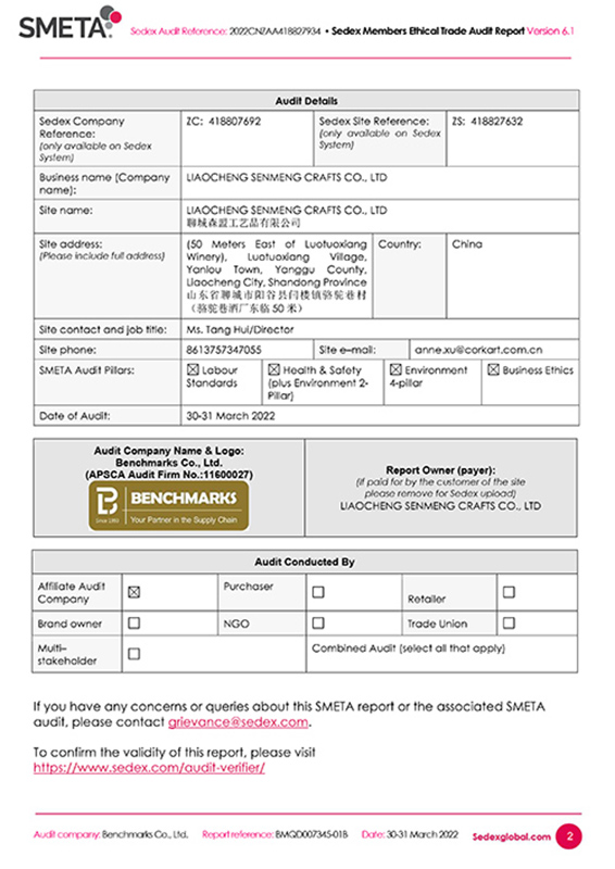 SEDEX Audit Report