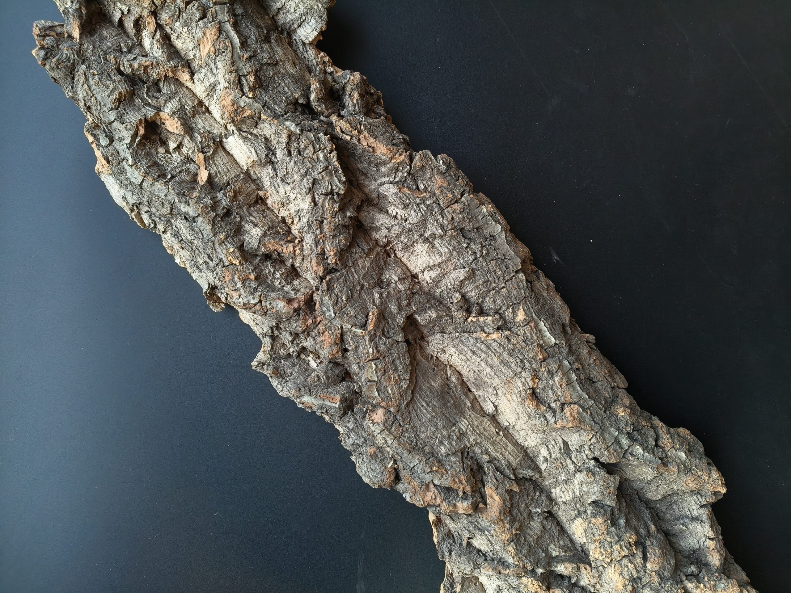 Cork Bark - 图片 7