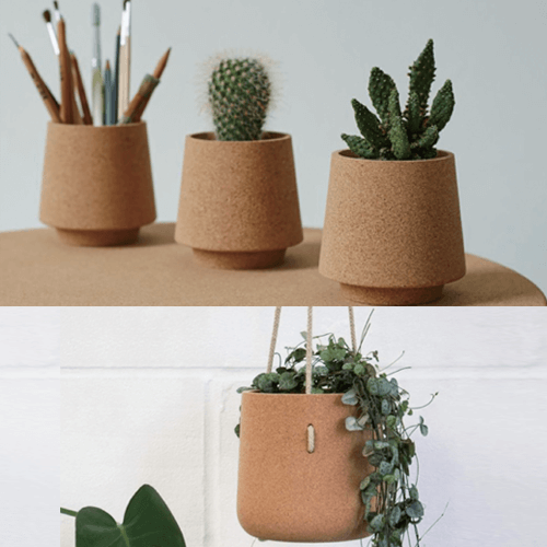 Cork Plant Pot