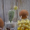 Cork Ball Stopper for Wine Glass Decanter Stopper Replacement Used At Home Restaurants - 图片 7