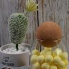 Cork Ball Stopper for Wine Glass Decanter Stopper Replacement Used At Home Restaurants - 图片 3