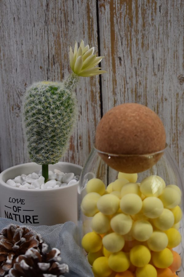 Cork Ball Stopper for Wine Glass Decanter Stopper Replacement Used At Home Restaurants - 图片 3