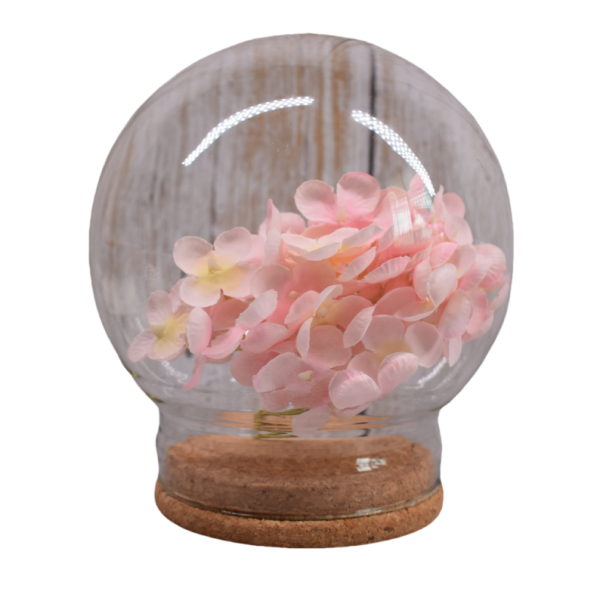 Customized Cork Lid for Glass Containers Storage Jars - 图片 6