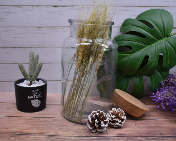 Tapered Cork topper 5.2x4.3x1.2inch Wooden Tapered Cork Stopper, Flat Rounded Cork Stopper for  Jars - 图片 5