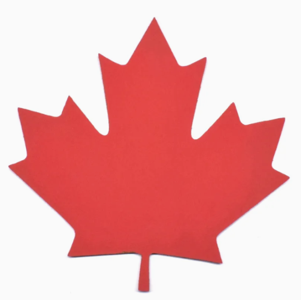 Maple Leaf Cork Board Notice Memo Message Decorative Bulletin Colorful - 图片 5