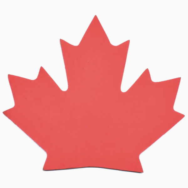 Maple Leaf Cork Board Notice Memo Message Decorative Bulletin Colorful - 图片 3