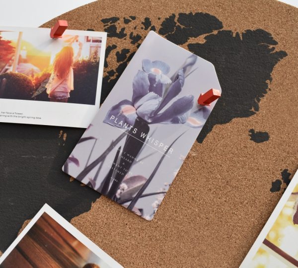 Wholesale Cork Map Boards  Custom Printed Travel Maps for Pinning Adventures - 图片 2