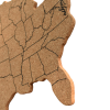 USA Map Cork Board With 10 Push Pins Travel Map Cork Bulletin Board - 图片 2