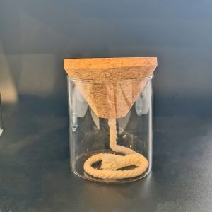 Self-watering glass cork vase